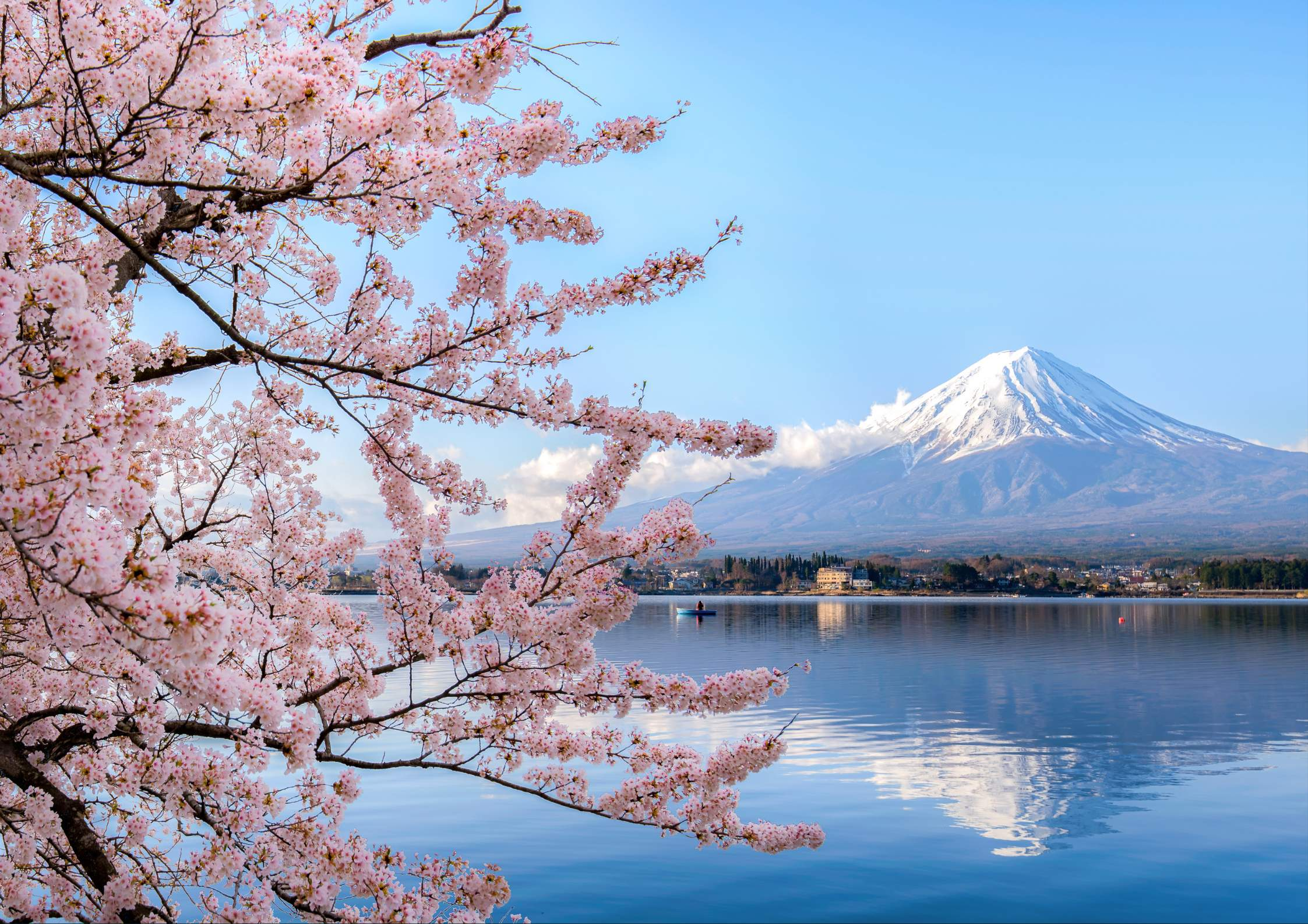 The Only Simplified Japan Travel Guide You Need